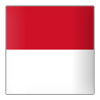 Indonesia Futsal