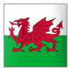 Wales U16